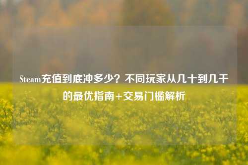 Steam充值到底冲多少?不同玩家从几十到几千的最优指南+交易门槛解析