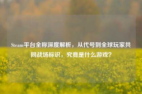 Steam平台全称深度解析,从代号到全球玩家共同战场标识,究竟是什么游戏?