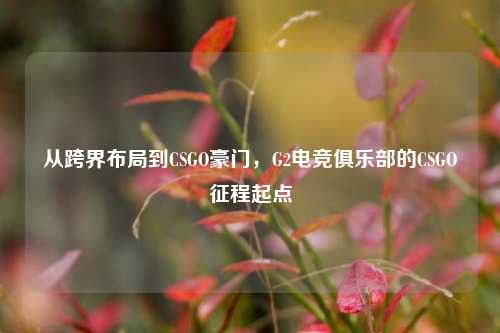 从跨界布局到CSGO豪门,G2电竞俱乐部的CSGO征程起点
