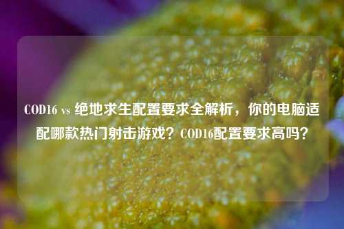 COD16 vs 绝地求生配置要求全解析，你的电脑适配哪款热门射击游戏？COD16配置要求高吗？