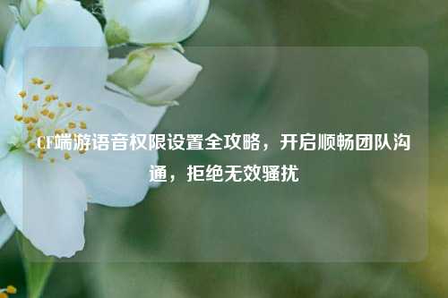 CF端游语音权限设置全攻略，开启顺畅团队沟通，拒绝无效骚扰