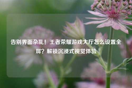 告别界面杂乱！王者荣耀游戏大厅怎么设置全屏？解锁沉浸式视觉体验