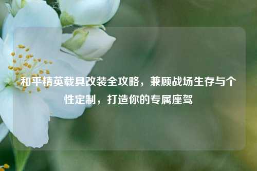 和平精英载具改装全攻略,兼顾战场生存与个性定制,打造你的专属座驾