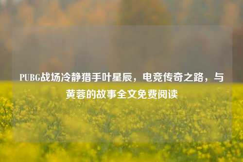 PUBG战场冷静猎手叶星辰,电竞传奇之路,与黄蓉的故事全文免费阅读