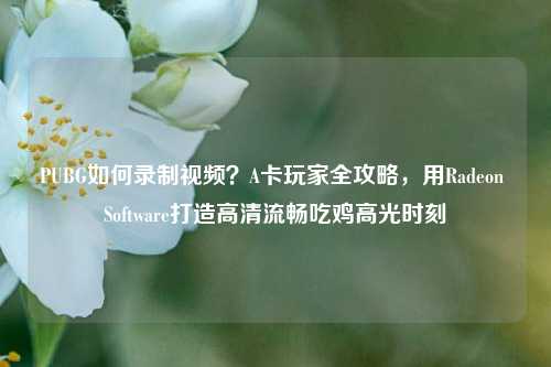 PUBG如何录制视频?A卡玩家全攻略,用Radeon Software打造高清流畅吃鸡高光时刻