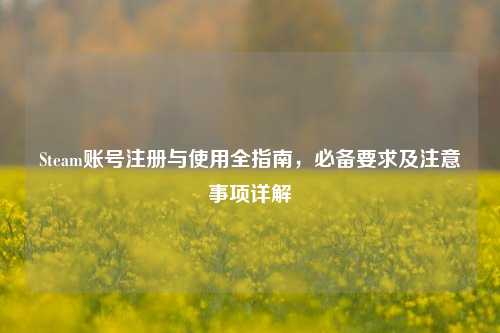 Steam账号注册与使用全指南，必备要求及注意事项详解