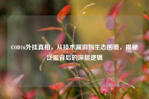 COD16外挂真相,从技术漏洞到生态困境,揭秘泛滥背后的深层逻辑