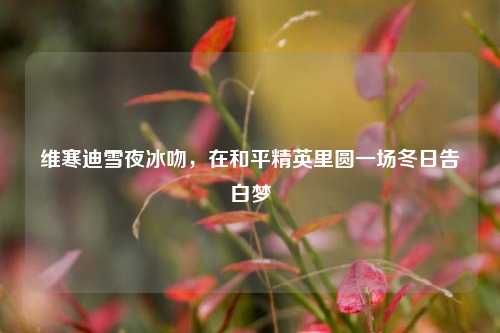 维寒迪雪夜冰吻,在和平精英里圆一场冬日告白梦