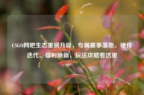 CSGO网吧生态重磅升级,专属赛事落地、硬件迭代、福利焕新,玩法攻略看这里
