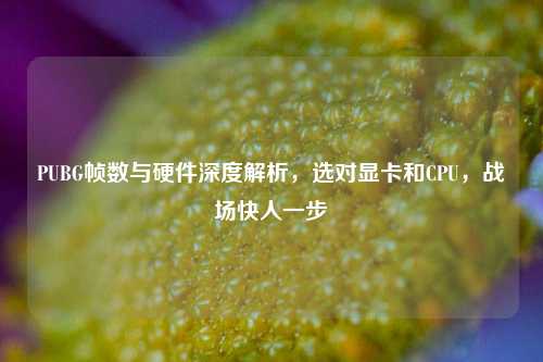 PUBG帧数与硬件深度解析,选对显卡和CPU,战场快人一步
