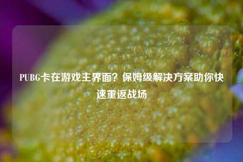 PUBG卡在游戏主界面？保姆级解决方案助你快速重返战场