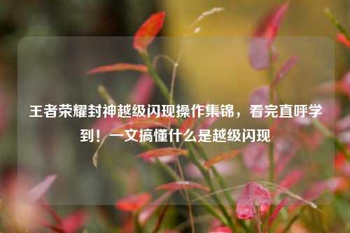 王者荣耀封神越级闪现操作集锦,看完直呼学到!一文搞懂什么是越级闪现