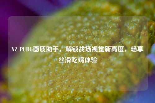 XZ PUBG画质助手，解锁战场视觉新高度，畅享丝滑吃鸡体验