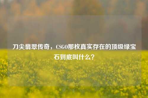 刀尖翡翠传奇,CSGO那枚真实存在的顶级绿宝石到底叫什么?