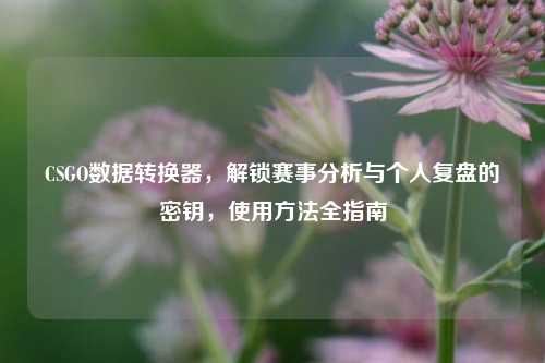 CSGO数据转换器,解锁赛事分析与个人复盘的密钥,使用方法全指南