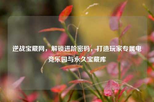 逆战宝藏网,解锁进阶密码,打造玩家专属电竞乐园与永久宝藏库
