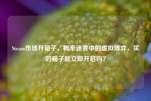 Steam市场开箱子,概率迷雾中的虚拟博弈,买的箱子能立即开启吗?