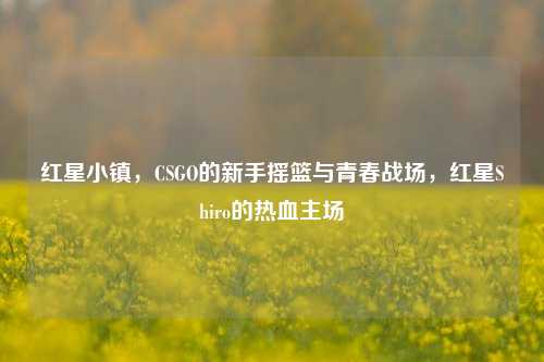 红星小镇，CSGO的新手摇篮与青春战场，红星Shiro的热血主场