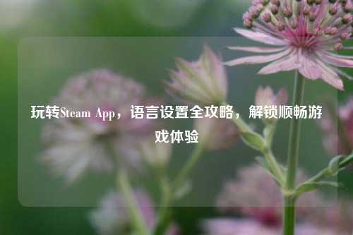 玩转Steam App,语言设置全攻略,解锁顺畅游戏体验