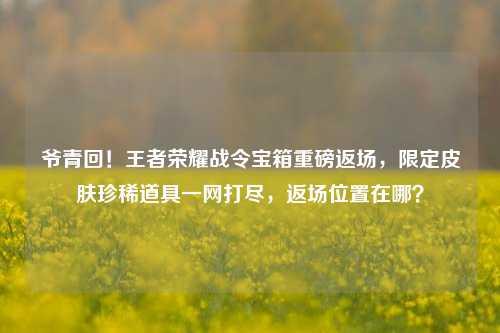 爷青回！王者荣耀战令宝箱重磅返场，限定皮肤珍稀道具一网打尽，返场位置在哪？