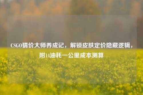 CSGO猜价大师养成记，解锁皮肤定价隐藏逻辑，附14油耗一公里成本测算