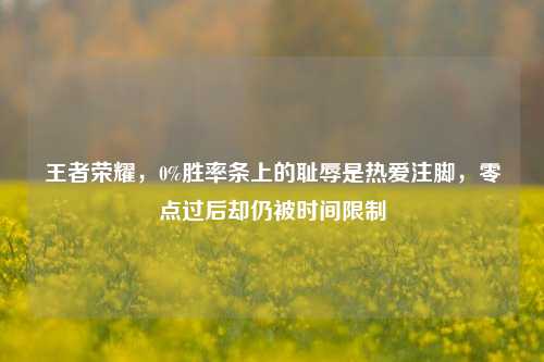 王者荣耀,0%胜率条上的耻辱是热爱注脚,零点过后却仍被时间限制