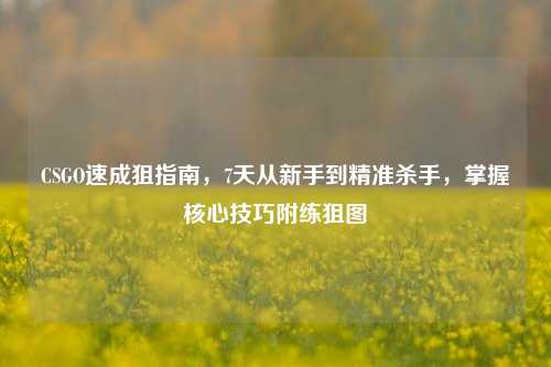 CSGO速成狙指南,7天从新手到精准杀手,掌握核心技巧附练狙图