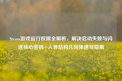 Steam游戏运行权限全解析,解决启动失败与闪退核心密钥+人体结构几何体速写指南