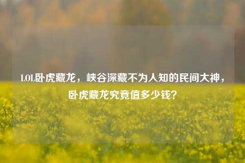 LOL卧虎藏龙，峡谷深藏不为人知的民间大神，卧虎藏龙究竟值多少钱？