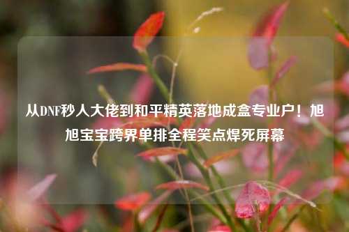 从DNF秒人大佬到和平精英落地成盒专业户!旭旭宝宝跨界单排全程笑点焊死屏幕