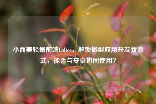 小而美轻量前端Lolios,解锁微型应用开发新范式,能否与安卓协同使用?