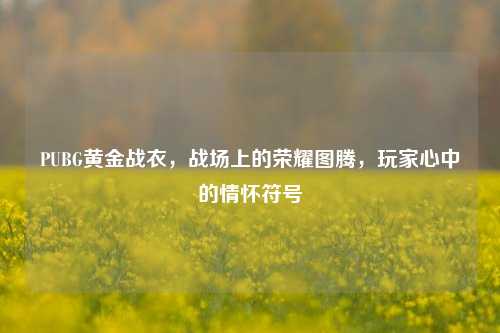 PUBG黄金战衣,战场上的荣耀图腾,玩家心中的情怀符号