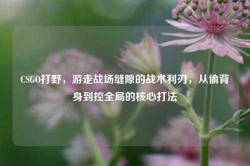 CSGO打野,游走战场缝隙的战术利刃,从偷背身到控全局的核心打法