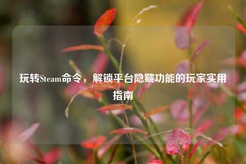 玩转Steam命令，解锁平台隐藏功能的玩家实用指南