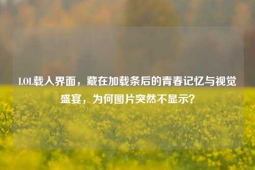 LOL载入界面,藏在加载条后的青春记忆与视觉盛宴,为何图片突然不显示?