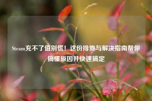 Steam充不了值别慌!这份排查与解决指南帮你搞懂原因并快速搞定