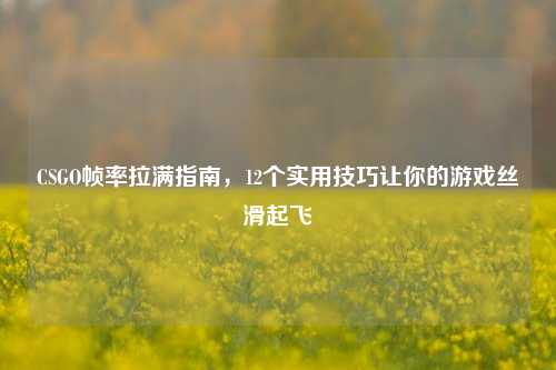 CSGO帧率拉满指南，12个实用技巧让你的游戏丝滑起飞