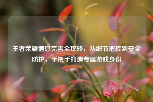 王者荣耀信息完善全攻略,从细节把控到安全防护,手把手打造专属游戏身份