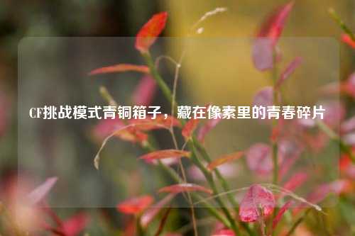 CF挑战模式青铜箱子，藏在像素里的青春碎片
