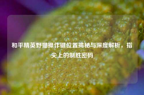 和平精英野猫操作键位置揭秘与深度解析，指尖上的制胜密码