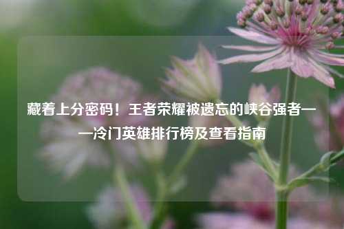 藏着上分密码！王者荣耀被遗忘的峡谷强者——冷门英雄排行榜及查看指南