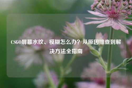 CSGO屏幕水纹、模糊怎么办？从原因排查到解决方法全指南