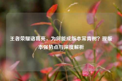 王者荣耀诸葛亮,为何能成版本常青树?现版本强势点与深度解析