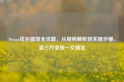 Steam钱包提现全攻略，从规则解析到实操步骤，第三方变现一文搞定