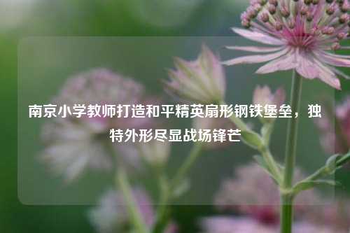 南京小学教师打造和平精英扇形钢铁堡垒，独特外形尽显战场锋芒