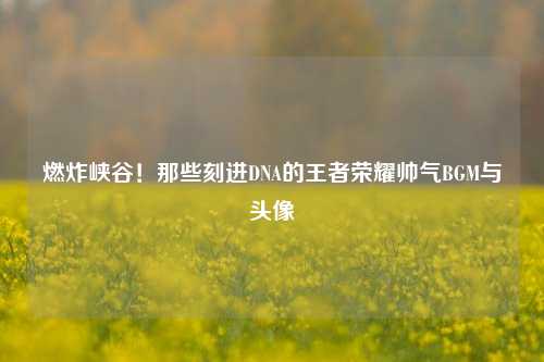 燃炸峡谷！那些刻进DNA的王者荣耀帅气BGM与头像