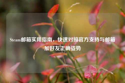 Steam邮箱实用指南，快速对接官方支持与邮箱加好友正确姿势