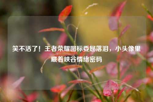 笑不活了!王者荣耀图标委屈落泪,小头像里藏着峡谷情绪密码