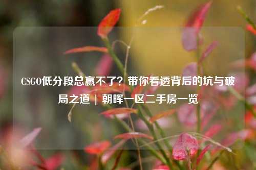 CSGO低分段总赢不了?带你看透背后的坑与破局之道 | 朝晖一区二手房一览