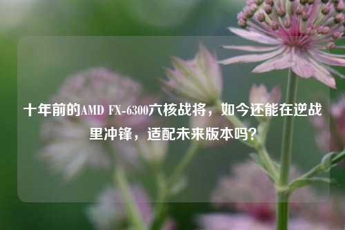 十年前的AMD FX-6300六核战将，如今还能在逆战里冲锋，适配未来版本吗？